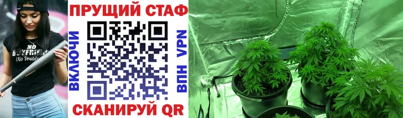 Продажа наркотиков Курчалой ГАШИШ Alpha PVP Экстази Марихуана Меф Амфетамин