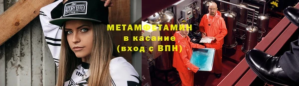 прущие грибы Балабаново