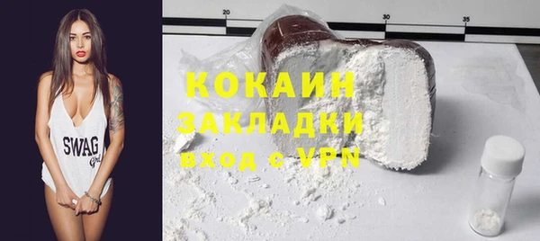 прущие грибы Балабаново