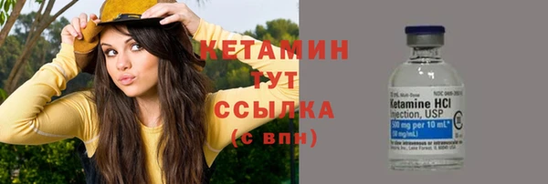 прущие грибы Балабаново