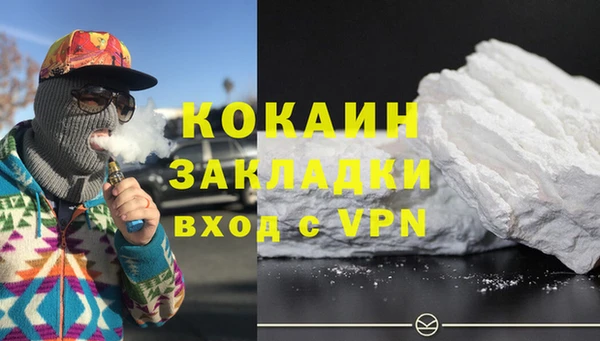 прущие грибы Балабаново