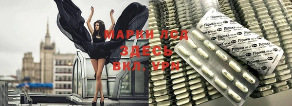 прущие грибы Балабаново